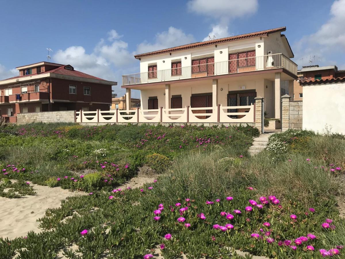 Seafront Apartment 2 In Villa Near Rome 토르바이아니카 외부 사진